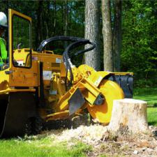 Professional Stump Grinder